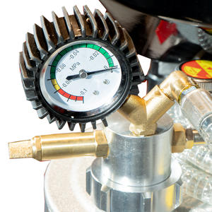 Lusqtoff Extractor De Aceite Neumatico 75 Lts