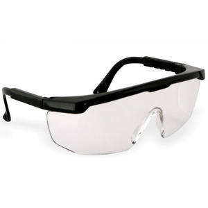 Libus Anteojo Argon Transparente 0499