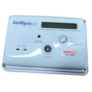 Detector De Gas Natural-monoxido Carbono 220v Con Reeley