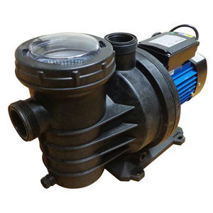 Pearl Bomba Autocebante Pileta Pool 100m 220v 1hp